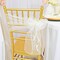 10 Pieces Ivory Organza Chair Sashes 8"x108" Sheer Elegant Wedding & Event Decor